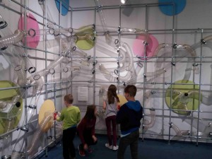 IQ park - 3.B,5 (45)