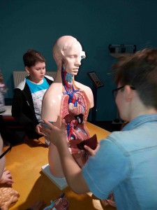 IQ park - 3.B,5 (53)