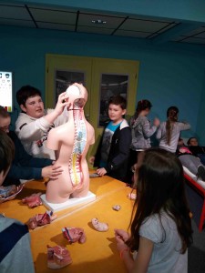 IQ park - 3.B,5 (54)