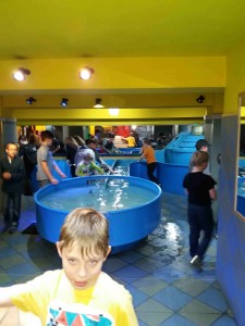 IQ park - 3.B,5 (56)