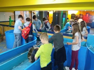 IQ park - 3.B,5 (63)