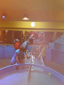 IQ park - 3.B,5 (64)