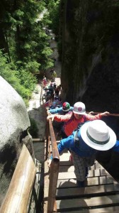 ŠVP Adršpach 2017  (215)