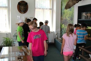 ŠVP - Jesenice u Rakovníka 2017 (192)