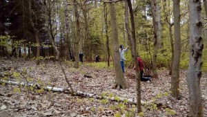 ŠVP - Český ráj-Brada 2017 (37)