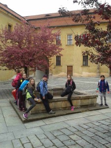 ŠVP - Český ráj-Brada 2017 (39)