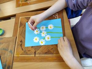 2025-–-Lvicata-–-Jarni-louka-22