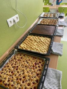 2025-–-Druzina-–-Sipkovana-II-5