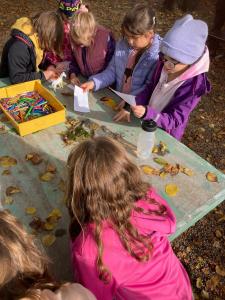 2024-–-Druzina-–-Strom-pratelstvi-79 (1)