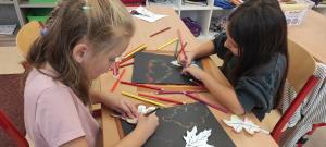 2025-–-Delfini-–-Barvy-podzimu-3