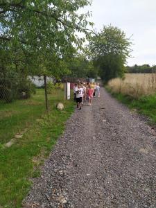 2025-–-Lvicata-–-Prochazka-a-staveni-domecku-pro-skritky-5