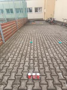 2026-–-Druzina-–-Sportovni-den-–-unor-8