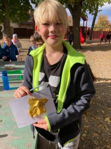 2025-–-Strasidla-a-Koralky-–-Zviratka-z-listu-8